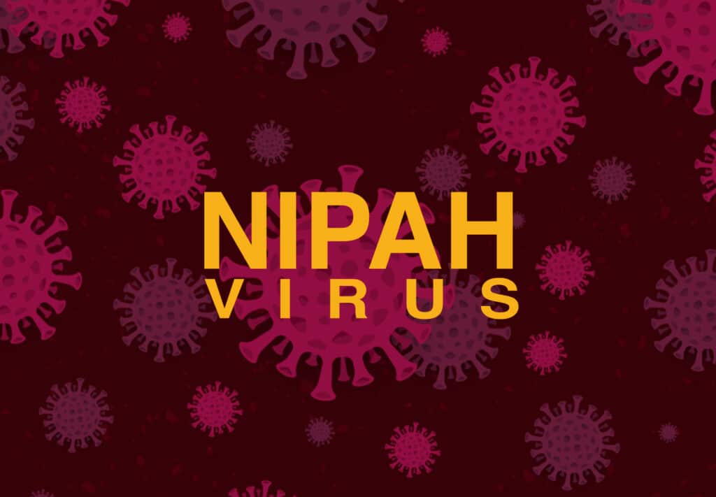 Understanding Nipah Virus Risks Symptoms And Prevention